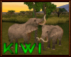 Elephant duo