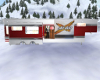 Ski Doo  Trailor