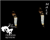 Egyptian Earrings Male