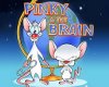 {DM} Pinky & Brain RUG