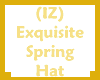 (IZ) Exquisite SpringHat