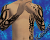 040° Tribal Skin