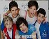 ~BR~ One Direction Pic1