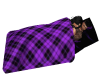 Snuggly in Purple plaid