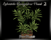 LAKESIDE BUNGALOW PLANT2