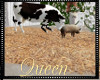 !Q Wedding Floor Hay