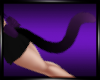 Kitten tail