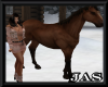 Horse Pet Aniamted