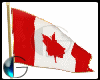 |IGI| Canada Flag