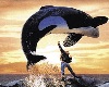 Free Willy Back Drop