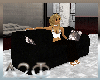 {D2F}Elegant Madrid Sofa