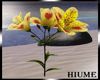 H* Lilly FlowersYellow