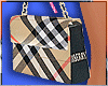 🤍 Burbery Snip Bag