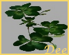 Shamrock Flowers