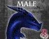 Dragon Head Blue M