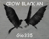 [Gi]CROW BLACK AN