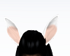 F/S Easter Bunny Ears