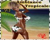 |DRB|Ambiance Tropicale4