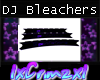 DJ Bleachers