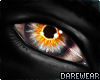 Insanity Eyes Gold