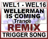 WELLERMAN IS COMING