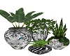 TIGER PLANT GROUP
