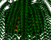 [AG] Leopard: Plant