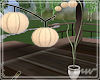 !Bamboo lantern pot