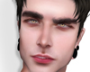 Shelin II Head