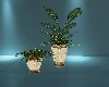 Gold Vase Plant Set