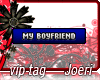 j| My Boyfriend-