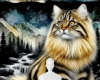 Fabulous cat background