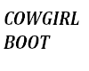 cowgirl boots