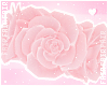 F. Succubus Roses Pinku