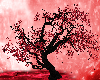*Lr* Red Tree