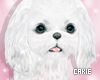 Animated Xmas Puppy 