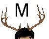 Deer Antlers M