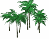 New Palms