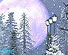 Forest Snow | Photoroom