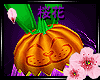 {花}Bunny Pumpkin M