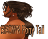 BROWN Pony Tail