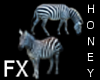 *h* Zebra FX
