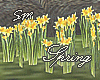 [SM]...Spring_Flowers