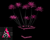 Relct Pink Plant Anim