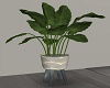 ~SL~ Plant Stand