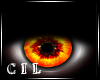 *C* Lava unisex eyes