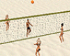 Beach Volleyball