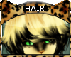 Bengal * Hair V2