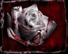 ~Blood rose couch~