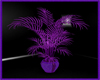 (LIR) MOON Purple Plants